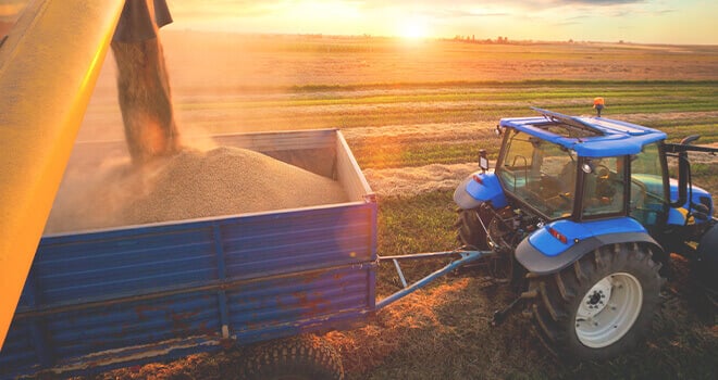 Auger Transferring Grain into Trailer